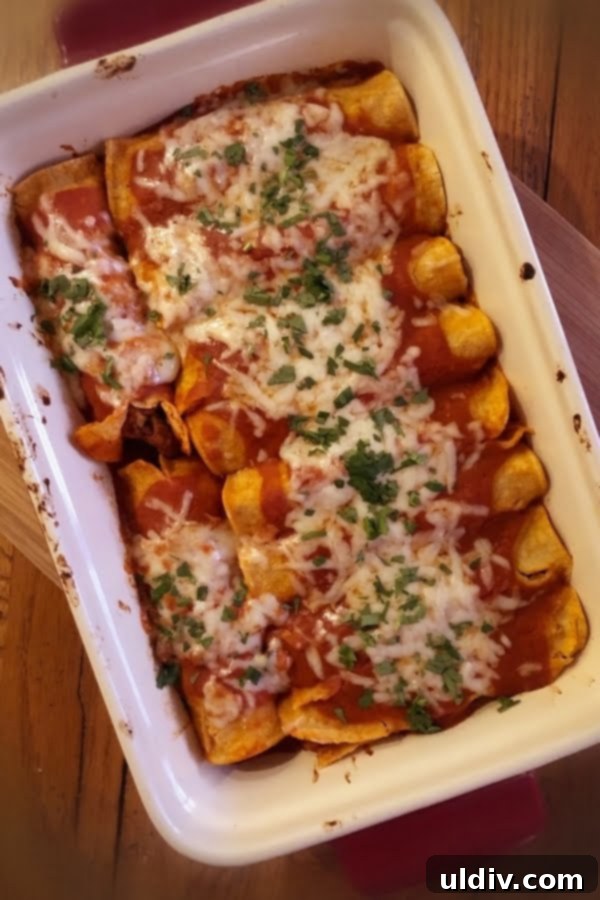Easy Beef and Cheese Enchiladas 5 pan of beef enchiladas