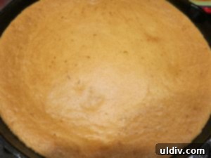 Breaking In My New Cast Iron Skillet with Pineapple Upside-Down Cake 7 Pineapple upside down cake cooling in the skillet after baking