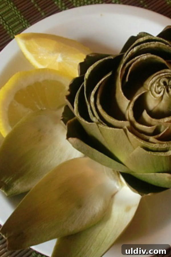 Quick & Easy Microwave Artichokes 12 A half-cooked artichoke with lemon wedges, showcasing the beautiful preparation process for steamed artichokes.