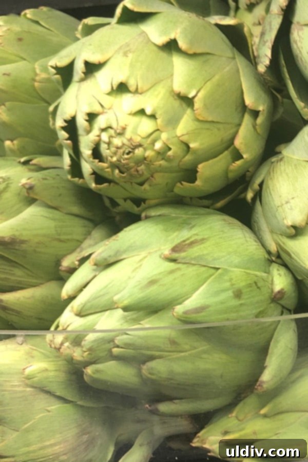 Quick & Easy Microwave Artichokes 13 A close-up view of two fresh, uncooked artichokes, highlighting their beautiful texture and readiness for cooking.