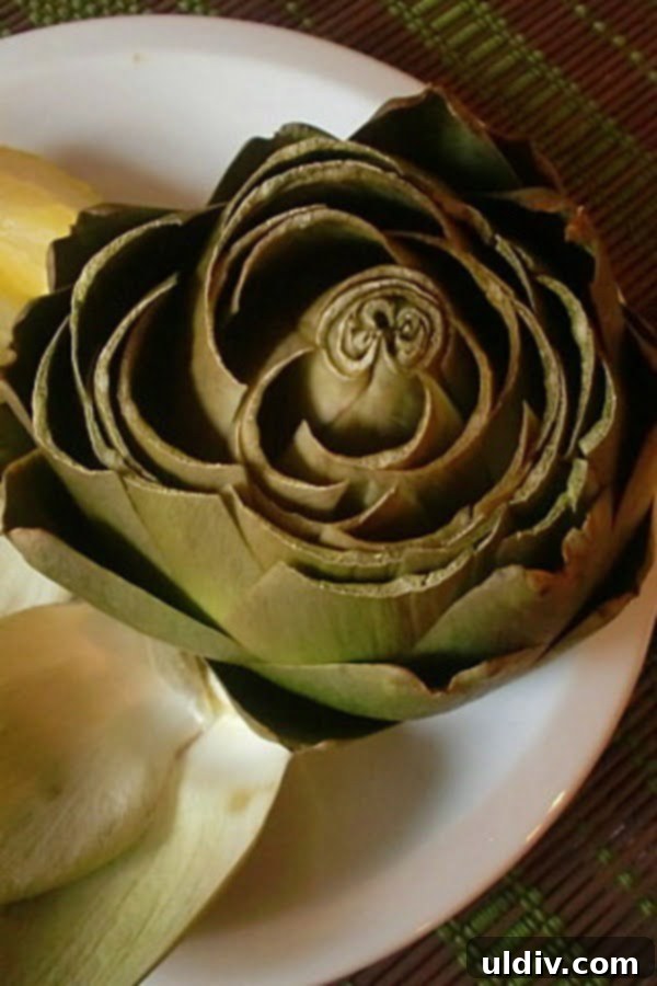 Quick & Easy Microwave Artichokes 14 A perfectly cooked artichoke, ready to be enjoyed, showcasing its tender leaves and vibrant green color.