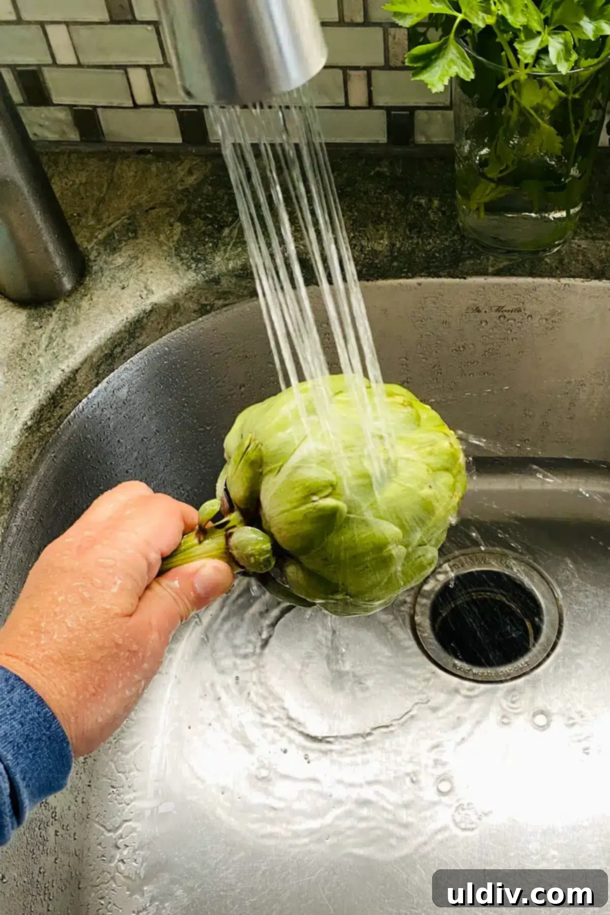 Quick & Easy Microwave Artichokes 5 A person rinsing a fresh artichoke under cold running water, preparing it for cooking.