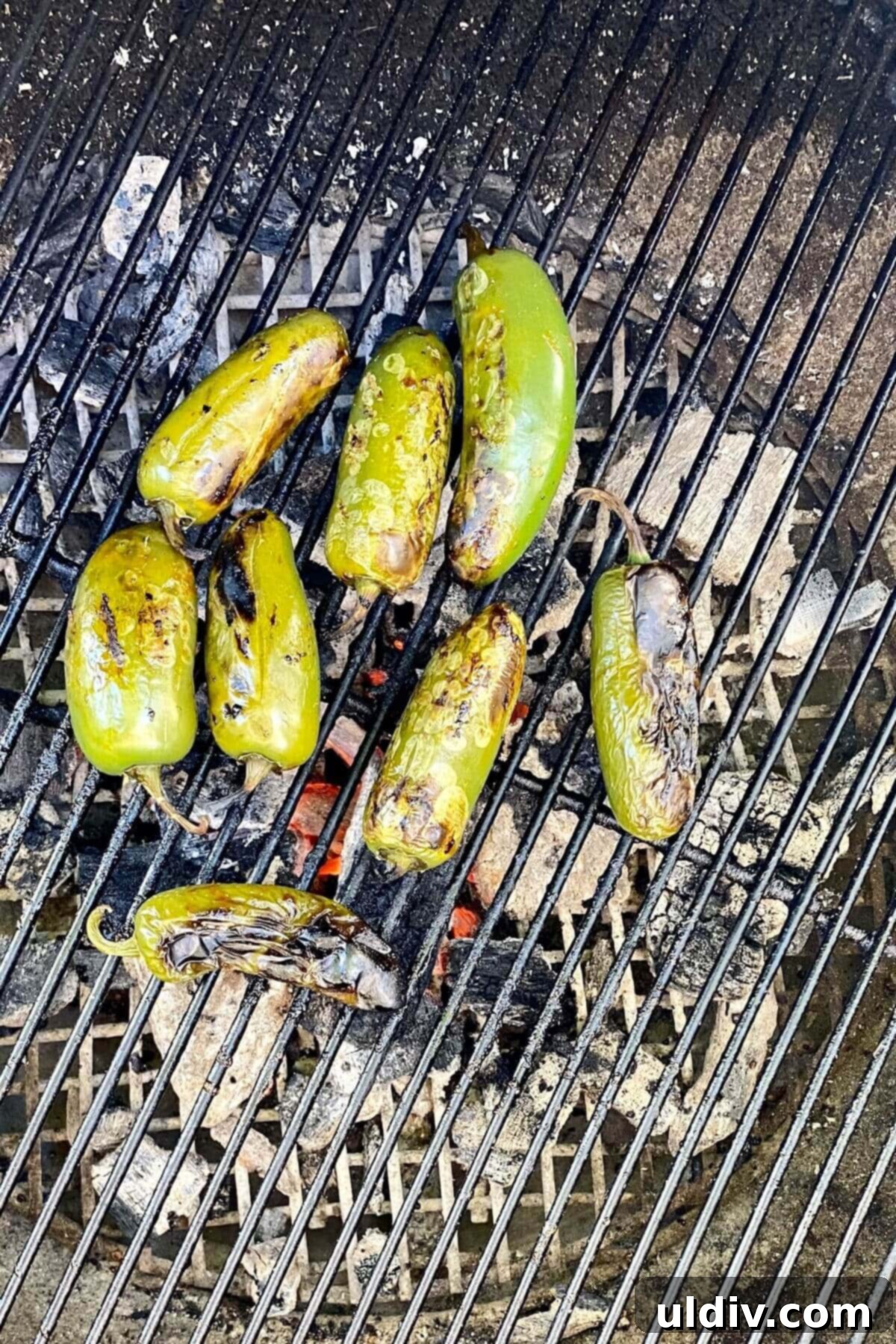 Sweet Heat Pork Tenderloin 9 grilling jalapeno peppers.
