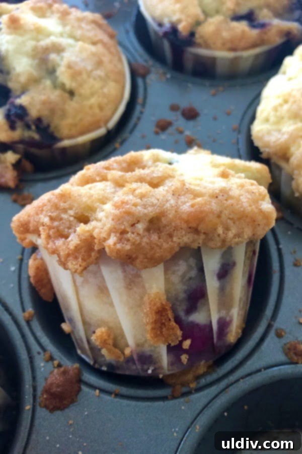 Hearty Cheesy Sausage and Spinach Breakfast Bake 3 blueberry muffin with crumb topping