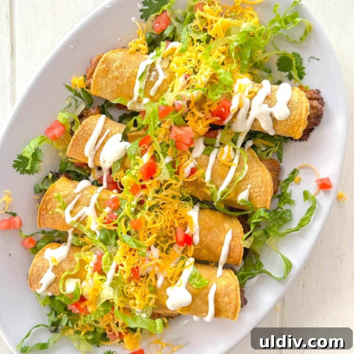 Crunchy Baked Taquitos 13 A simple white plate featuring several golden-brown rolled beef and cheese taquitos.