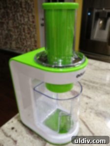 Gourmia Spiralizer Review New Year Delights Kid-Friendly and Chic 3 Gourmia Curly Q electric spiralizer