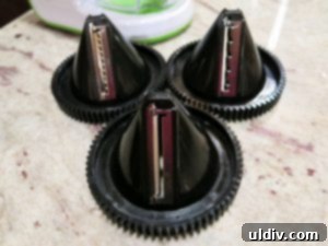 Gourmia Spiralizer Review New Year Delights Kid-Friendly and Chic 4 Spiralizer cones with different blade sizes