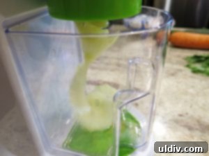 Gourmia Spiralizer Review New Year Delights Kid-Friendly and Chic 6 Spiralized cucumber ribbons