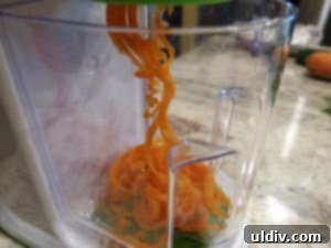 Gourmia Spiralizer Review New Year Delights Kid-Friendly and Chic 9 Spiralized carrots for winter salad