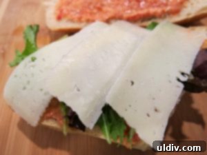 Mediterranean Sunshine Panino: Manchego & Jamón Serrano 5 Sliced Manchego cheese layered on fresh salad leaves for the panino