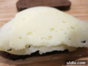Emerald Feast: My St. Patrick's Day Sandwich 7 Swiss cheese slices over apple and coleslaw