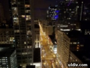 ROOF on theWit A Feast for the Senses 2 Downtown Chicago at night, showcasing the city's vibrant lights