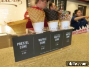 Graeter's Ice Cream Arrives in Winnetka: Indulge in Handcrafted Perfection 5 Assortment of various cones available at Graeter's Ice Cream store