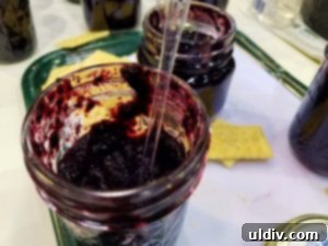 Culinary Meets Code: Show Highlights 5 Joe's Blues Blueberries low sugar preserve