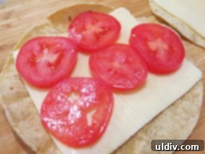 Cinco de Mayo Weekend Double Stacked Tortilla Sandwich Feast 6 First corn tortilla layered with a slice of Chihuahua cheese, sliced tomatoes, and mini red pepper.