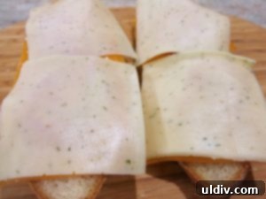 Easy Breezy Cheesy Veggie Sandwich With a Goat Cheese Zing 9 Layers of cheese, tomatoes, and garlic herb Monterey Jack on bread