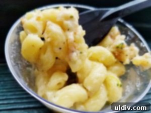 Mac & Cheese Smackdown: Decoding Deliciousness 7 The Pasta Bowl's Macaroni al Formaggio, a delightful mix of pasta, white cheddar, and fresh vegetables.
