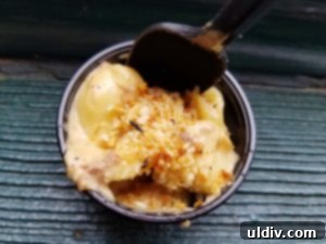 Mac & Cheese Smackdown: Decoding Deliciousness 10 A close-up view of the tender, slow-braised short rib within Luella's championship mac and cheese.