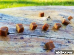 Baobites, a delightful baobab-based snack, offering a citrusy and refreshing flavor