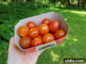 Lighten Up Your 4th of July Grill: Chicken, Tomato, and Arugula Salad for Burgers and Dogs 3 Pure Flavor Cloud 9 cherry tomatoes and grilled Aurora Sweets peppers