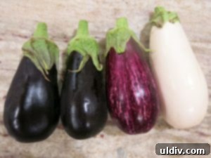When life gives you eggplants, elevate them into an irresistible sweet pepper panino. 3 Assortment of Pure Flavor baby eggplants and Aurora Sweets peppers