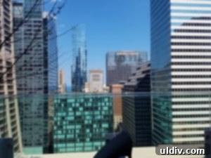 Elevate Your Weekend: Chicagoland's Best Events, Including Rooftop Magic 10 Stunning Chicago skyline view from AIRE rooftop bar
