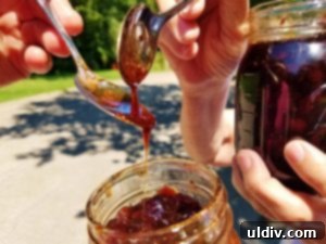 Two people, a mother and a mother-in-law, engaged in preparing jars of sour cherry preserve, a delightful homemade creation.