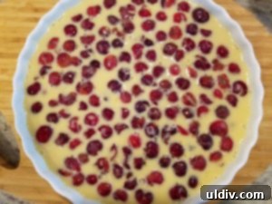 Sour Cherries: Summer's Ruby Legacy of Flavor 9 A freshly prepared batter for clafoutis, with sour cherries mixed in, ready for baking.