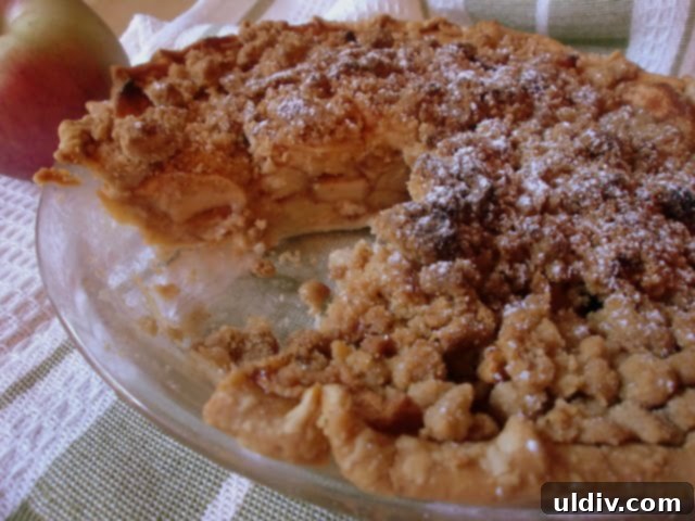Homestyle Apple Crumb Pie 2 A beautifully baked apple crumb pie with a slice carefully removed, showcasing the rich apple filling and golden streusel topping.