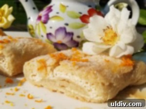 Nielsen-Massey Review & Giveaway: Elevating Every Baked Delight 7 Close-up of a single slice of orange ricotta strudel, showcasing the delicious filling and delicate crust.