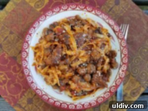 Chef Inside the Box Review Your Shortcut to Gourmet Dinners in Minutes 11 Finished Braised Beef Fettuccine