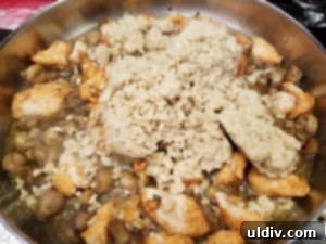 Chef Inside the Box Review Your Shortcut to Gourmet Dinners in Minutes 13 Cooking turkey and mushrooms for risotto