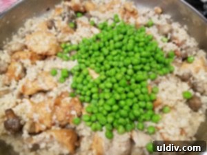 Chef Inside the Box Review Your Shortcut to Gourmet Dinners in Minutes 14 Adding peas to risotto