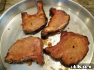 Chef Inside the Box Review Your Shortcut to Gourmet Dinners in Minutes 18 Heating smoked pork chops
