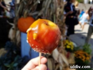 A Decade of Deliciousness: Chicago Gourmet 12 A glistening, red candy apple, a simple yet iconic seasonal treat, perfect for a gentle introduction to desserts.