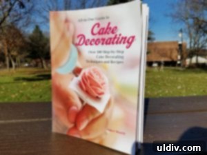 Bu Sezonun Hediyesi: Kaliteli Kitaplarla Okuma Keyfi! 3 Janice Murfitt's Cake Decorating Guide