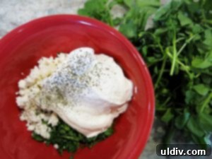 Power Up Your Winter with a Vegetarian Mushroom Watercress Sandwich 5 Mixing Watercress and Feta Spread