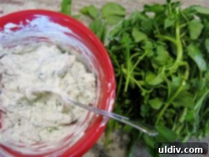 Power Up Your Winter with a Vegetarian Mushroom Watercress Sandwich 6 Smooth Watercress Feta Spread