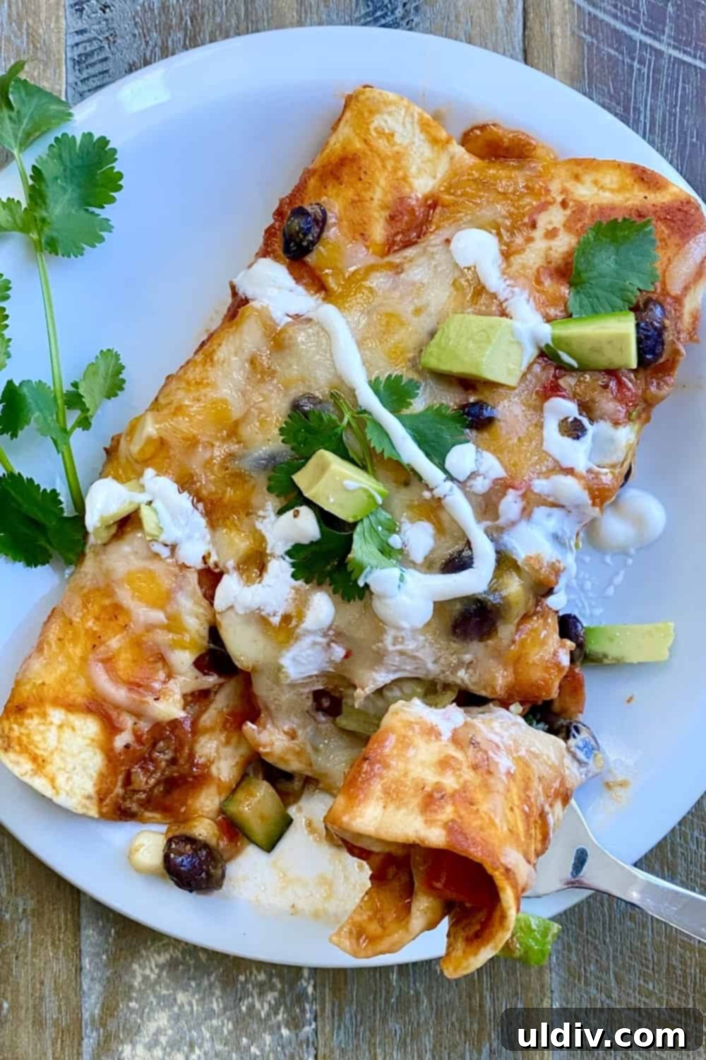 Effortless Healthy Black Bean Enchiladas 2 Two vibrant black bean and veggie enchiladas topped with cheese and fresh cilantro, served on a white plate.