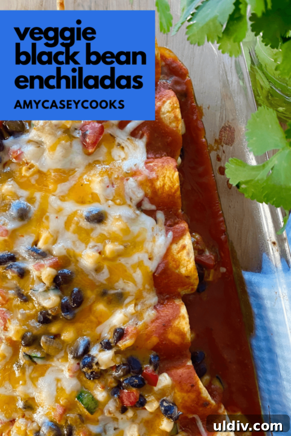 Simple Wholesome Black Bean Enchiladas 12 Close-up of baked veggie and bean-filled enchiladas, generously topped with perfectly melted, bubbly cheese, fresh out of the oven, highlighting the delicious texture.