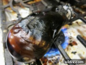 Delicious by Any Other Name 4 An eggplant roasting over an open flame, its skin blistering to perfection for Zacusca.