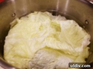 Easter's Heartwarming Cabbage Rolls A Tale of Tradition 3 Ingredients for cabbage roll filling: ground pork, chicken, onion, rice, and seasoning