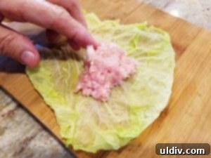 Easter's Heartwarming Cabbage Rolls A Tale of Tradition 6 Hands demonstrating the technique of rolling a cabbage leaf with meat filling