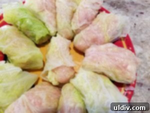 Easter's Heartwarming Cabbage Rolls A Tale of Tradition 8 A large batch of 36 homemade cabbage rolls arranged in a pot