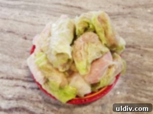Easter's Heartwarming Cabbage Rolls A Tale of Tradition 9 A pot layered with shredded cabbage and the first layer of neatly arranged cabbage rolls