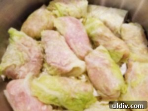 Easter's Heartwarming Cabbage Rolls A Tale of Tradition 10 Second layer of shredded cabbage, bacon pieces, and bay leaves over cabbage rolls