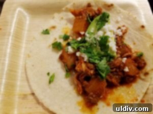 Macy's Masterclass: 5 Game-Changing Tips from Chef Rick Bayless 10 Delicious Chicken Tinga Poblana served on a tortilla