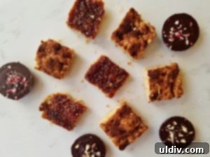 An assortment of vibrant vegan treats, including bars and blondies, from a cookbook