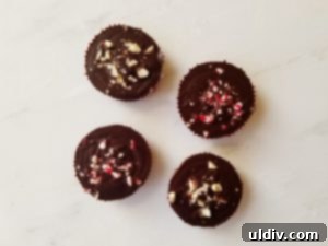 Second Helping of Spring Healthy Eating Book Reviews All Day Long 10 Rich Dark Chocolate Bars decorated with chopped nuts and sprinkles, presented in baking cups