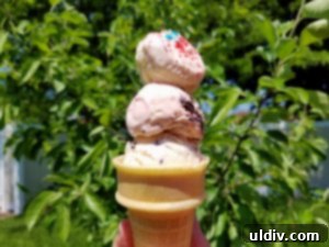 Memorial Day Ice Cream Overload 3 Chicagoans Prefer Ice Cream Cones